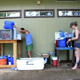 Fish excretion station at Gump Research Station, Moorea