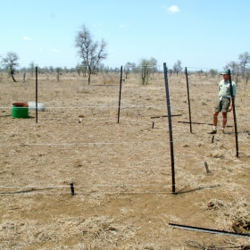 Building herbivore exclosures at the end of the dry season