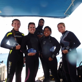 Team Parrotfish!