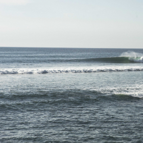 The Wave (photo Sam Shimizu-Jones)