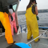 Embedded thumbnail for BRUV video surveys of Marine Protected Areas