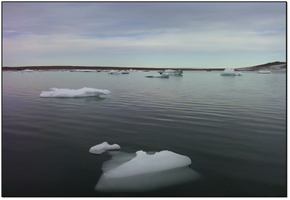 Greenland Ice